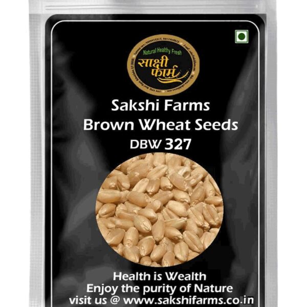 Wheat Seeds